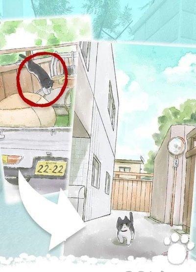 迷路的小猫逃离小胡同图3