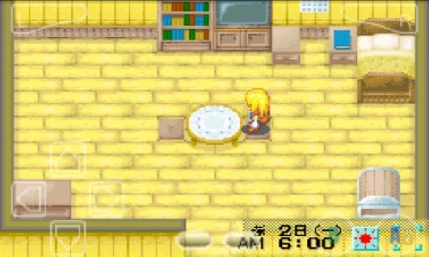 牧场物语女孩版图3