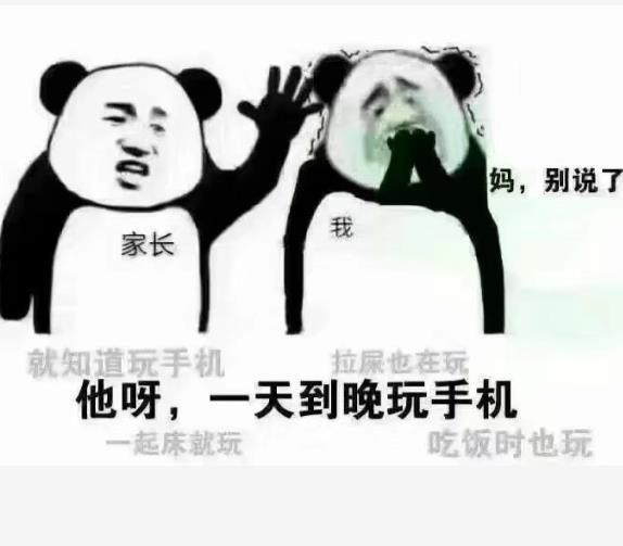 父母在亲戚朋友面前谈起你时表情包图4
