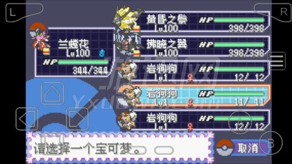 口袋妖怪究极绿宝石4vgc纪念版金手指作弊码  v2021.06.26.12图3