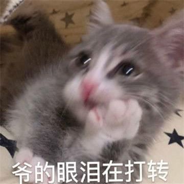 2021第一个工作日图片图1