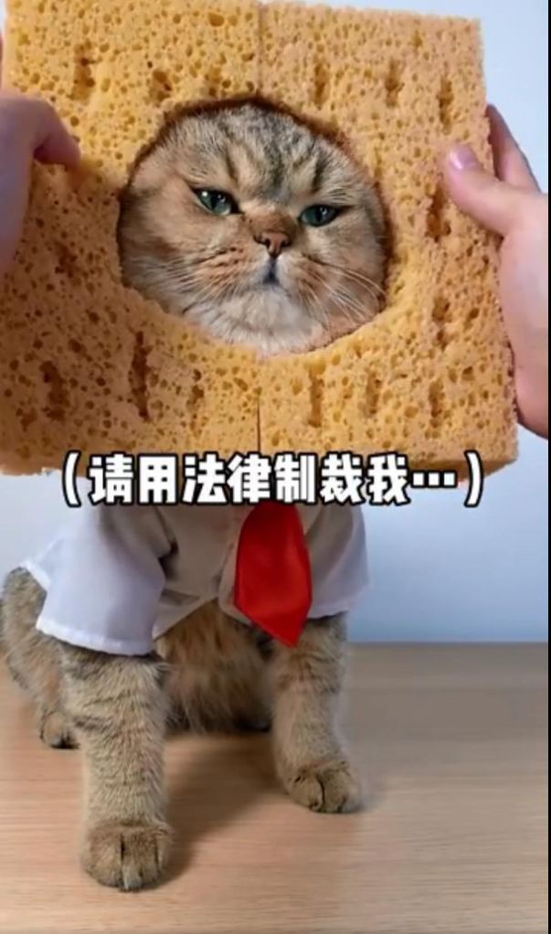 果我有罪请让法律来制裁我文案配图图3