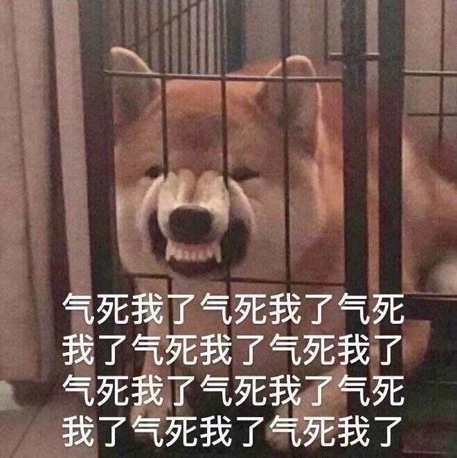 气死我了表情包柴犬咬笼子图1