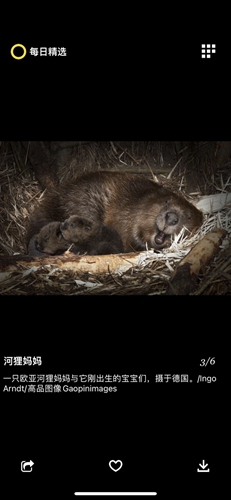 国家地理每日精选官网版图2