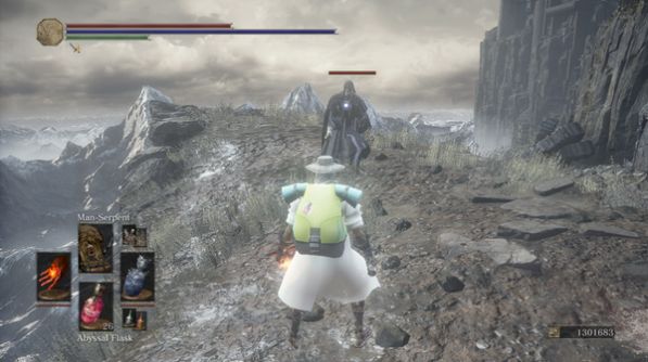 宝可梦之魂手机版图2