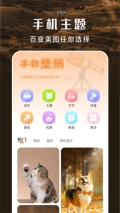主题盒vivo仿苹果 v1.5 安卓版图3