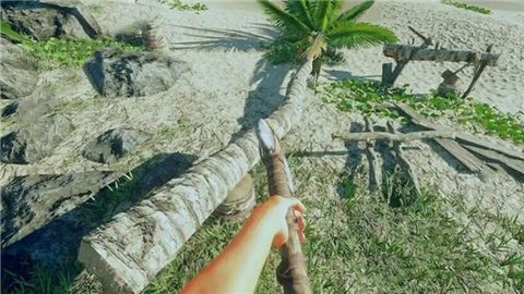 荒岛危机生存模拟中文手机版 v1.0图3