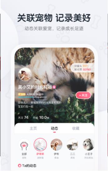 粉爪app手机版官方下载  v1.1图1