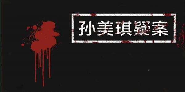 孙美琪疑案系列合集