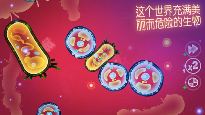 细菌模拟生存战游戏图1