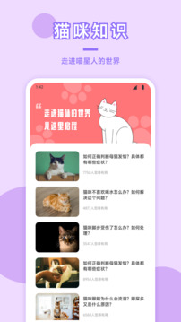 猫咪社区3.1.2正版图3