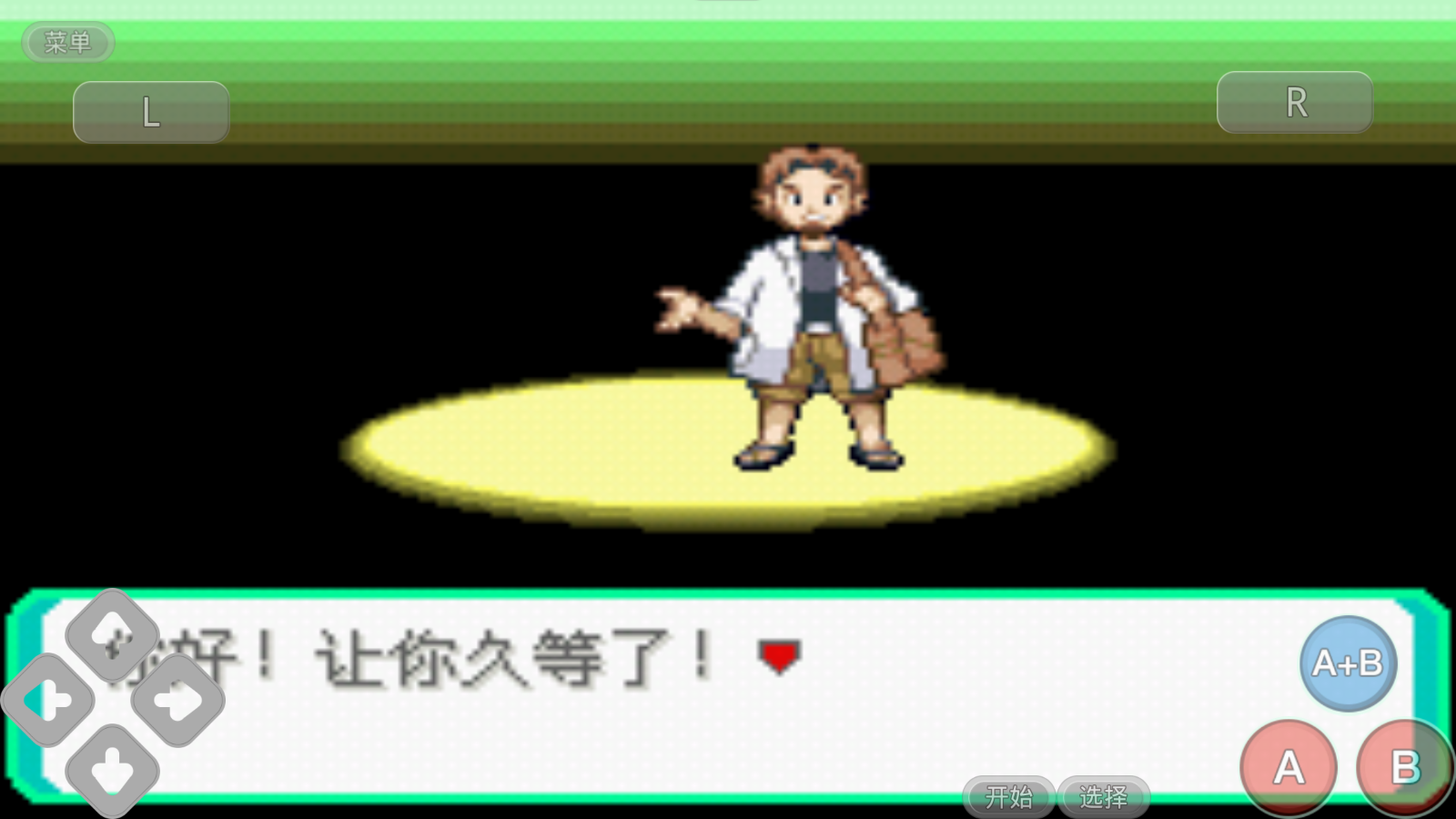 口袋妖怪究极绿宝石小智版二周目攻略金手指下载  v2021.06.26.12图2