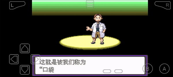 口袋妖怪漆黑的魅影5.0手机版图2