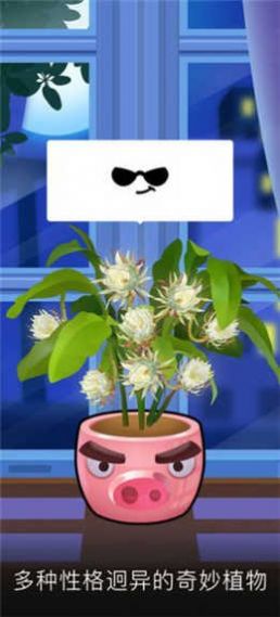 我有个花园游戏红包版下载  v1.0.3图4