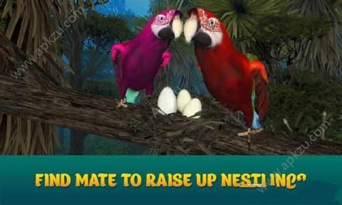 野生鹦鹉模拟3D金币中文安卓版  v1.0.0图4