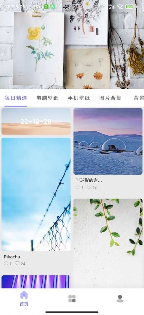 派派壁纸app手机版 v8图2