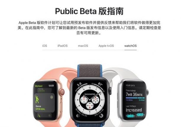 苹果watchOS 7.6开发者预览版 Beta1描述文件更新  图1