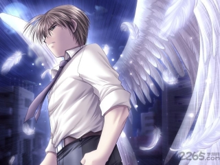 天使之羽中文版图4