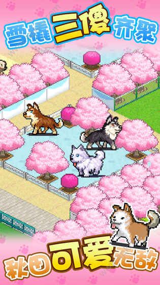 发现汪星人开罗手游官网图3