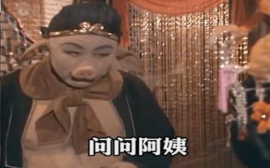 你回去问问阿姨就问今年过年要女婿吗gif动图大全图3