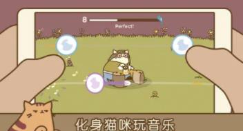 猫咪很可爱游戏合集