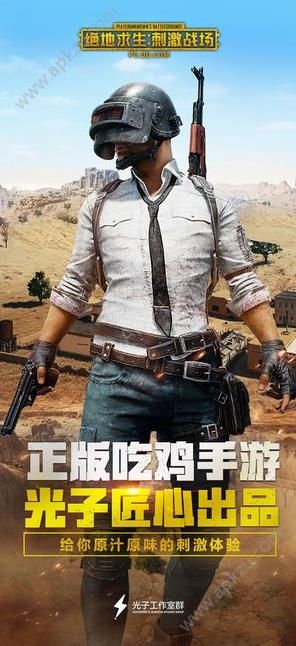 pobgmopile国际版官方下载图片1