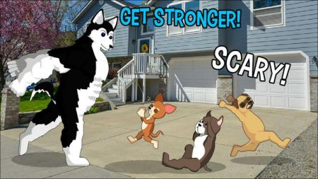 卡通大战狗之战图3