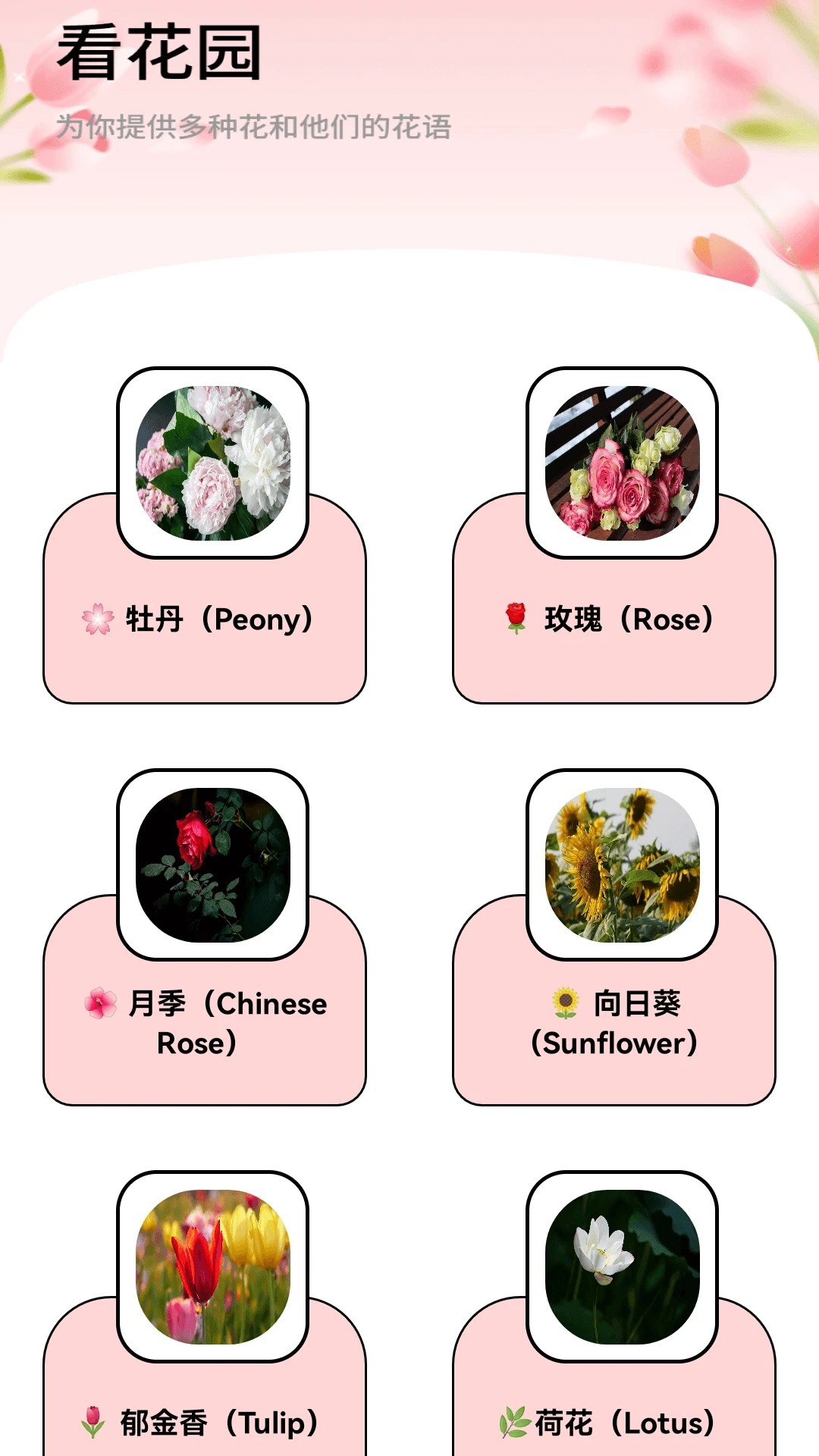 月光短剧红包版图3