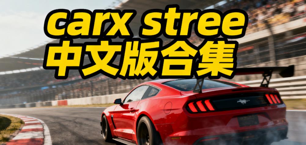 carx stree中文版合集