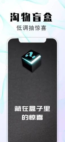 淘物盲盒图3
