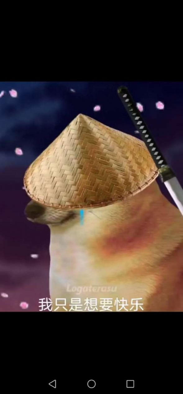 silence wench狗子图片图2