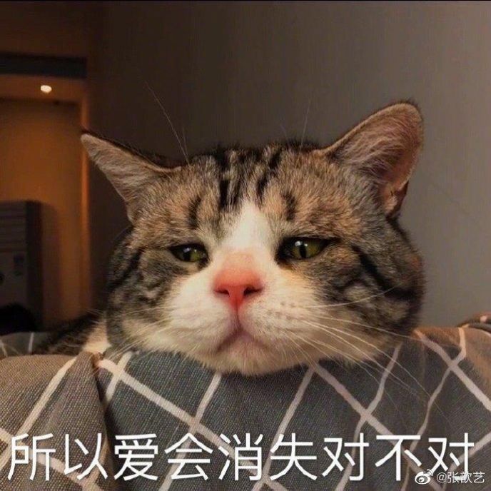 所以爱会消失对不对表情包图6