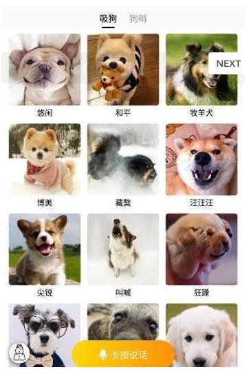 跑狗翻译app官方正式版下载  v1.1.6图2