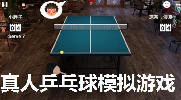 真人乒乓球模拟游戏合集