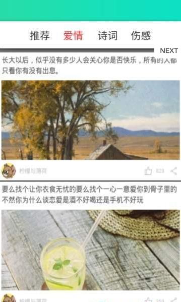 蛋咖鸡汤  v1.0图3