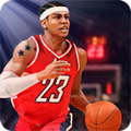 热血篮球3D金币安卓版（Fanatical Basketball）  v1.0.2