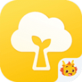 云朵树app
