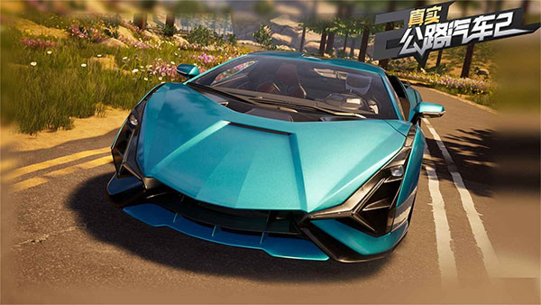 真实公路汽车2官方版图1