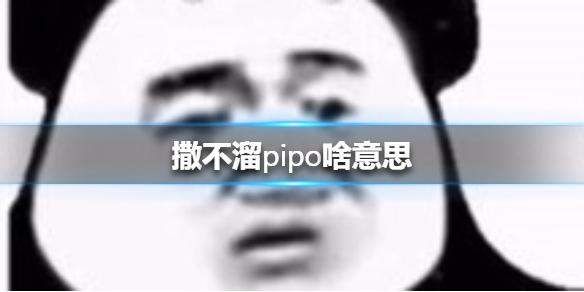 抖音你个撒不溜pipo表情包图2