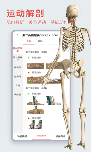 3DBody解剖软件图6