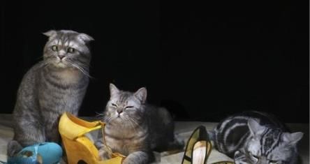 三双鞋子相加等于30人带哨子计算题答案解析图片2