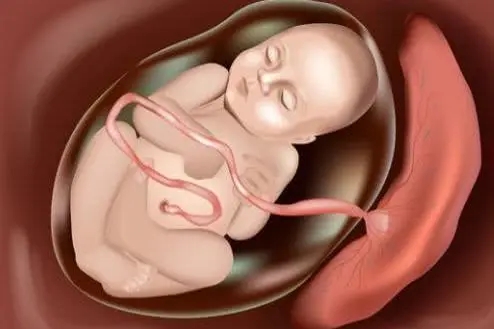 孕期软件app合集