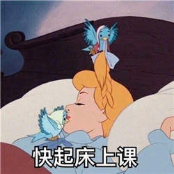 迪士尼公主爱学习头像表情包免费分享  v1.0图5