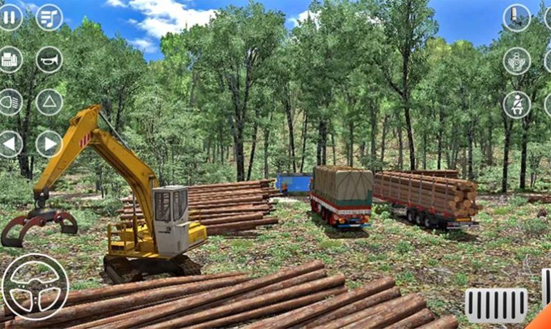 印度卡车驾驶模拟器游戏中文最新版  v1.0图3