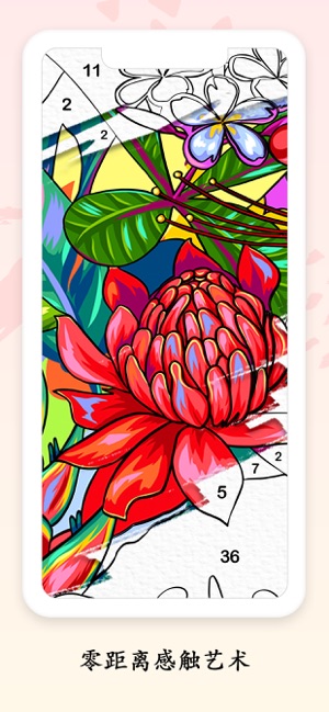 数字刮画游戏图1