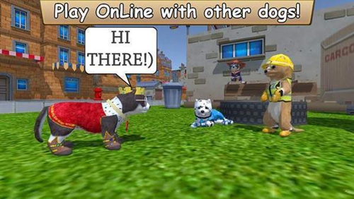 美国zoom动物图2