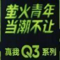realme真我Q3平台