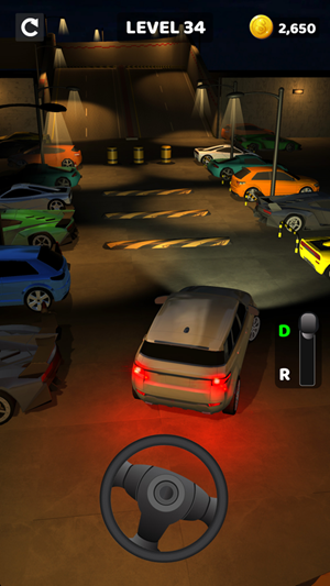 Real Drive 3D游戏中文版  v21.2.15图2