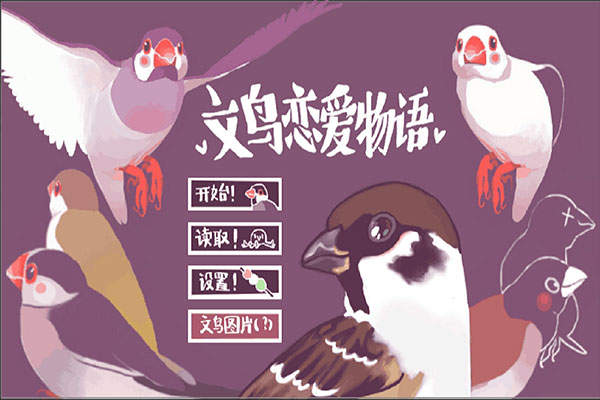 文鸟恋爱物语最新版手游图片2