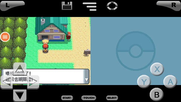 口袋妖怪珍珠图5